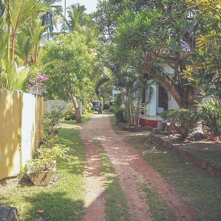 Hikka Surf Hostel Hikkaduwa Exterior foto