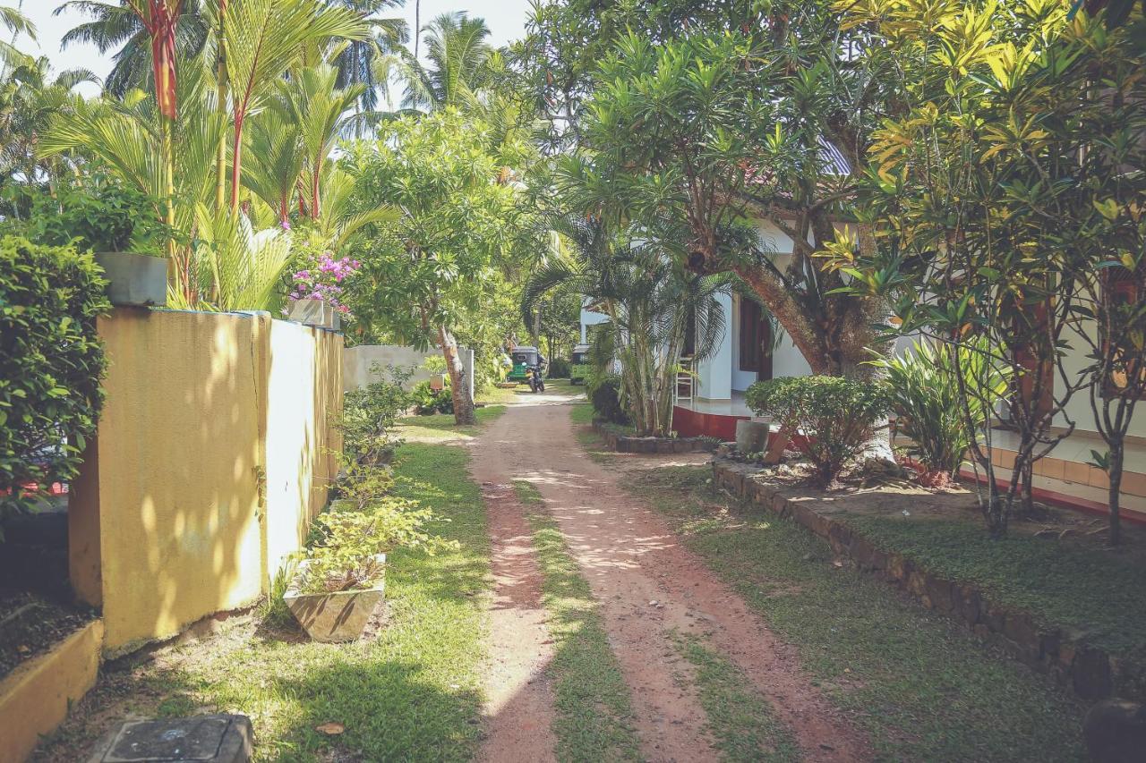 Hikka Surf Hostel Hikkaduwa Exterior foto